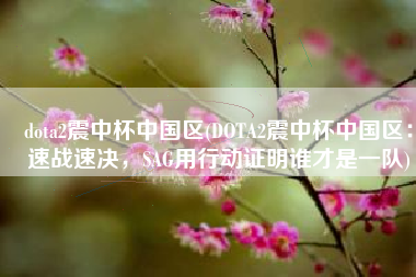dota2震中杯中国区(DOTA2震中杯中国区：速战速决，SAG用行动证明谁才是一队)