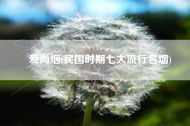 爱尚烟(民国时期七大流行名烟)
