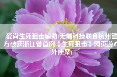爱尚生死狙击辅助(无端科技联合杭州警方破获浙江省首例《生死狙击》网页游戏外挂案)