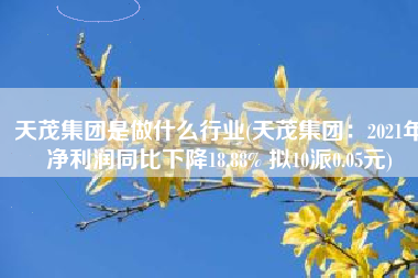 天茂集团是做什么行业(天茂集团：2021年净利润同比下降18.88% 拟10派0.05元)