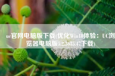 uc官网电脑版下载(优化Win10体验：UC浏览器电脑版5.2.3635.47下载)