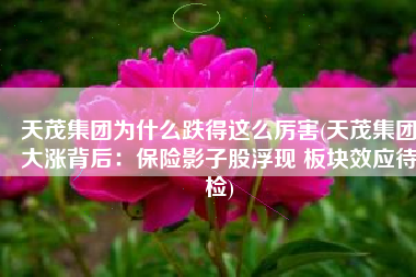 天茂集团为什么跌得这么厉害(天茂集团大涨背后：保险影子股浮现 板块效应待检)