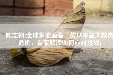 陈志钢(全球多地面临二战以来最大粮食危机，专家解读如何应对挑战)