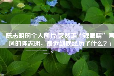 陈志明的个人图片(突然走“辣眼睛”画风的陈志明，最近到底经历了什么？)
