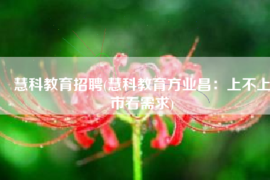 慧科教育招聘(慧科教育方业昌：上不上市看需求)