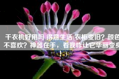 干衣机好用吗 得意生活(衣柜变旧？颜色不喜欢？神器在手，看我咋让它华丽变身！)