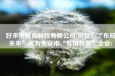 好未来教育科技有限公司(祝贺！“布局未来”成为北京市“专精特新”企业)