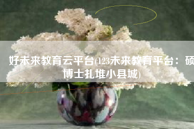 好未来教育云平台(123未来教育平台：硕博士扎堆小县城)