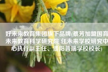 好未来教育集团旗下品牌(蔡芳加盟国育未来教育科学研究院 任未来学校研究中心执行副主任、贵阳普瑞学校校长)