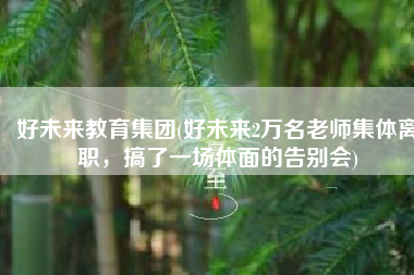 好未来教育集团(好未来2万名老师集体离职，搞了一场体面的告别会)