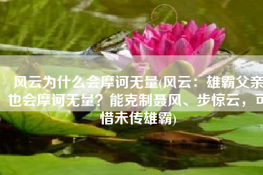 风云为什么会摩诃无量(风云：雄霸父亲也会摩诃无量？能克制聂风、步惊云，可惜未传雄霸)