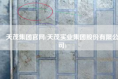 天茂集团官网(天茂实业集团股份有限公司)