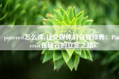 pinterest怎么读(社交媒体的自我修养：Pinterest在硅谷的立足之路)