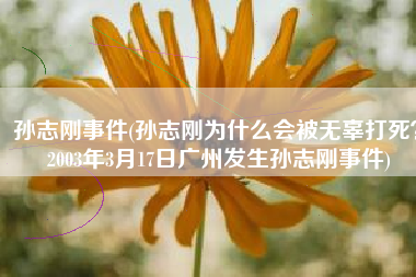 孙志刚事件(孙志刚为什么会被无辜打死？2003年3月17日广州发生孙志刚事件)