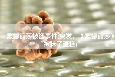 蒙娜丽莎被盗事件(突发，《蒙娜丽莎》被抹了蛋糕)