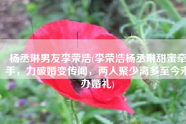 杨丞琳男友李荣浩(李荣浩杨丞琳甜蜜牵手，力破婚变传闻，两人聚少离多至今未办婚礼)