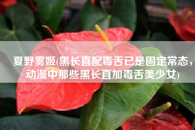 夏野雾姬(黑长直配毒舌已是固定常态，动漫中那些黑长直加毒舌美少女)