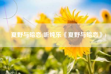 夏野与暗恋(听纯乐《夏野与暗恋》)