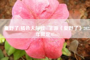 夏野了(橘色天际线--王源《夏野了》2022年限定Mini)