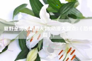 夏野是哪部动漫人物(动漫大盘点5（恐怖篇）)