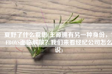 夏野了什么意思(王源拥有另一种身份，TFBOYS面临解散？我们来看经纪公司怎么说)