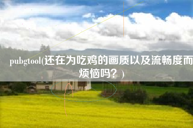 pubgtool(还在为吃鸡的画质以及流畅度而烦恼吗？)