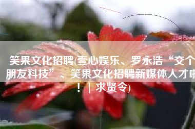 笑果文化招聘(壹心娱乐、罗永浩“交个朋友科技”、笑果文化招聘新媒体人才啦！| 求贤令)