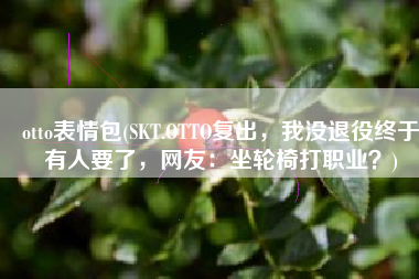 otto表情包(SKT.OTTO复出，我没退役终于有人要了，网友：坐轮椅打职业？)