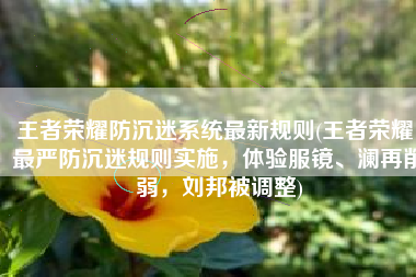王者荣耀防沉迷系统最新规则(王者荣耀：最严防沉迷规则实施，体验服镜、澜再削弱，刘邦被调整)