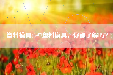 塑料模具(6种塑料模具，你都了解吗？)