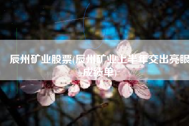 辰州矿业股票(辰州矿业上半年交出亮眼成绩单)