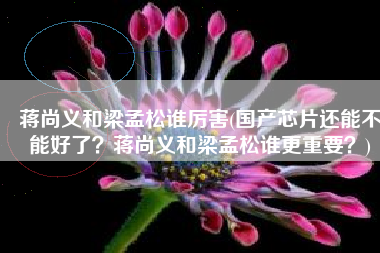 蒋尚义和梁孟松谁厉害(国产芯片还能不能好了？蒋尚义和梁孟松谁更重要？)