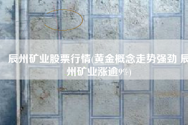 辰州矿业股票行情(黄金概念走势强劲 辰州矿业涨逾9%)