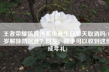 王者荣耀防沉迷系统是生日那天取消吗(18岁解除防沉迷？网友：终于可以收到这份成年礼)
