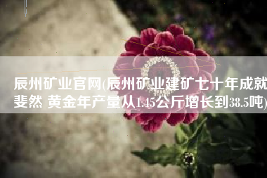 辰州矿业官网(辰州矿业建矿七十年成就斐然 黄金年产量从1.45公斤增长到38.5吨)