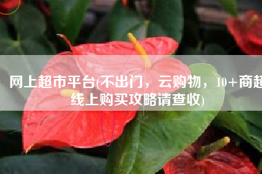 网上超市平台(不出门，云购物，10+商超线上购买攻略请查收)