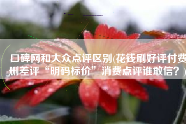 口碑网和大众点评区别(花钱刷好评付费删差评“明码标价”消费点评谁敢信？)