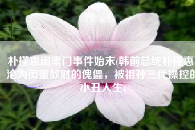朴槿惠闺蜜门事件始末(韩前总统朴槿惠，沦为闺蜜敛财的傀儡，被祖孙三代操控的小丑人生)