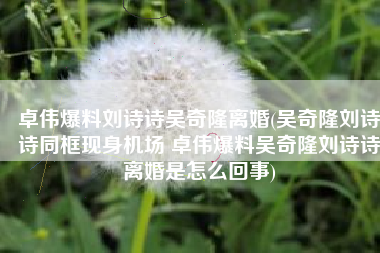 卓伟爆料刘诗诗吴奇隆离婚(吴奇隆刘诗诗同框现身机场 卓伟爆料吴奇隆刘诗诗离婚是怎么回事)
