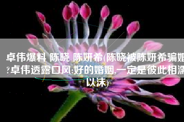 卓伟爆料 陈晓 陈妍希(陈晓被陈妍希骗婚?卓伟透露口风:好的婚姻,一定是彼此相濡以沫)