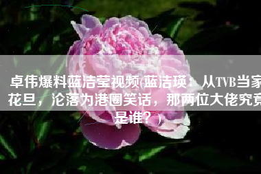 卓伟爆料蓝洁莹视频(蓝洁瑛：从TVB当家花旦，沦落为港圈笑话，那两位大佬究竟是谁？)