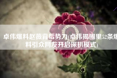卓伟爆料赵薇背后势力(卓伟揭圈里52条爆料引众网友开启深扒模式)