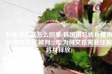 朴槿惠到底怎么回事(韩国前总统朴槿惠因弹劾下台,被判22年,为何文在寅卸任前将其释放)