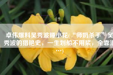 卓伟爆料吴秀波睡小花(“师奶杀手”吴秀波的猎艳史，一生划船不用桨，全靠浪…)