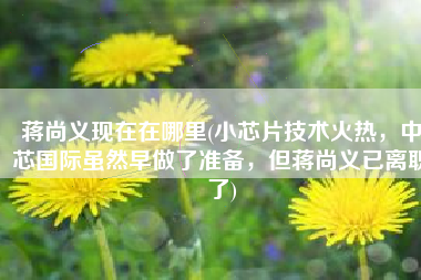 蒋尚义现在在哪里(小芯片技术火热，中芯国际虽然早做了准备，但蒋尚义已离职了)