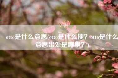 otto是什么意思(otto是什么梗？otto是什么意思出处是哪里？)