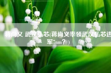 蒋尚义 武汉弘芯(蒋尚义率领武汉弘芯进军7nm？)