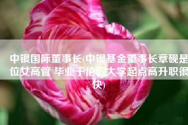 中银国际董事长(中银基金董事长章砚是位女高管 毕业于伦敦大学起点高升职很快)