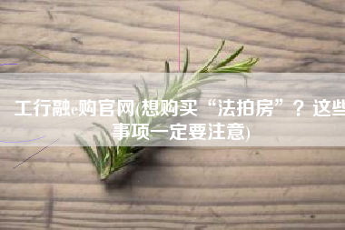 工行融e购官网(想购买“法拍房”？这些事项一定要注意)