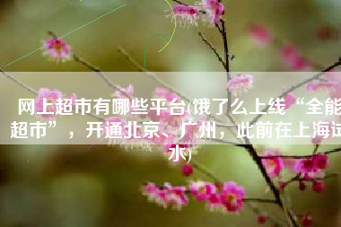 网上超市有哪些平台(饿了么上线“全能超市”，开通北京、广州，此前在上海试水)